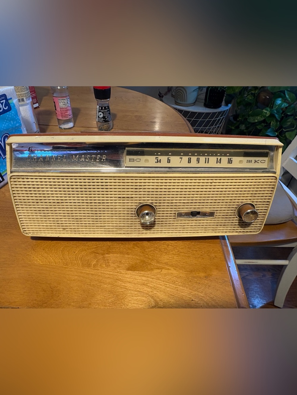 Masters Beige Portable Radio with Chrome Trim
